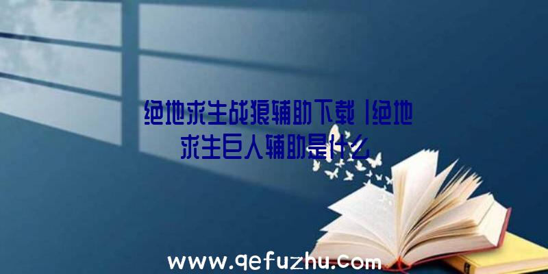 「绝地求生战狼辅助下载」|绝地求生巨人辅助是什么